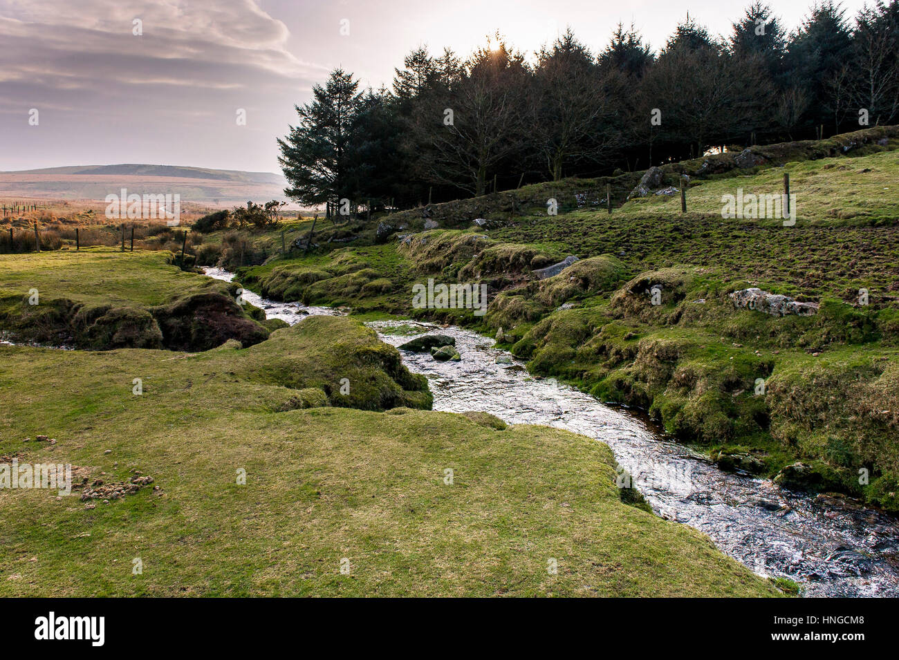 A small river runs through marshy ground on Rough Tor, an area designated as an area of Outstanding Natural Beauty on Bodmin Moor in Cornwall. Stock Photo