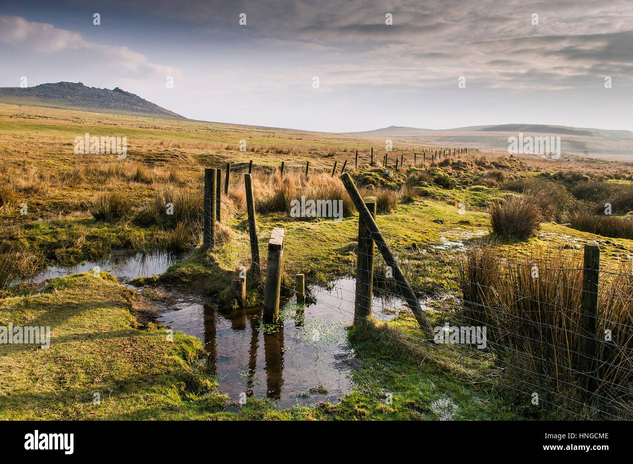 Marshy, waterlogged ground on Rough Tor, designated as an area of Outstanding Natural Beauty on Bodmin Moor in Cornwall. Stock Photo