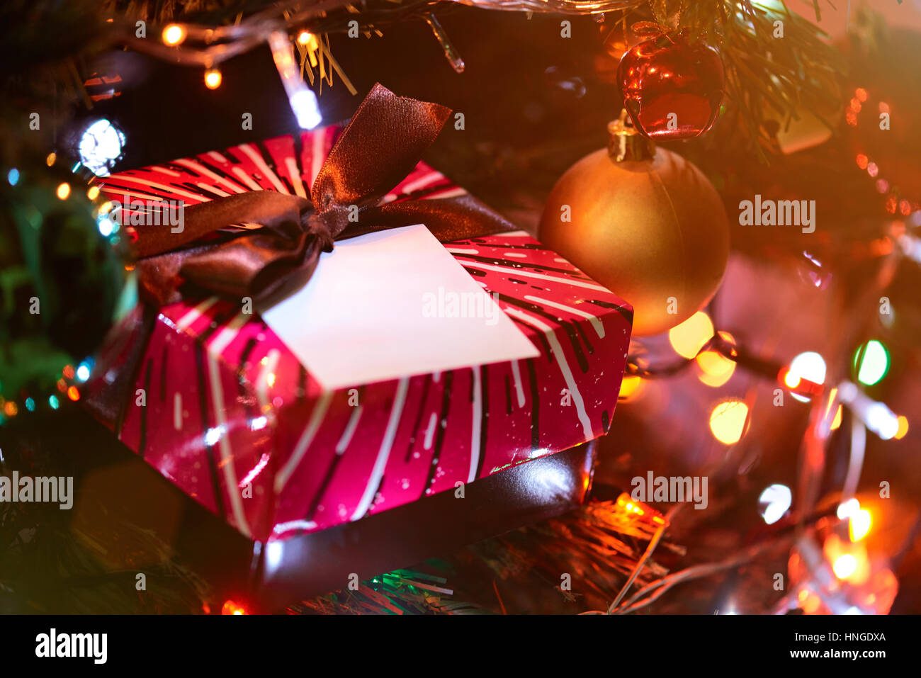 Decoration for new year celebration with christmas tree blurred lights Stock Photo