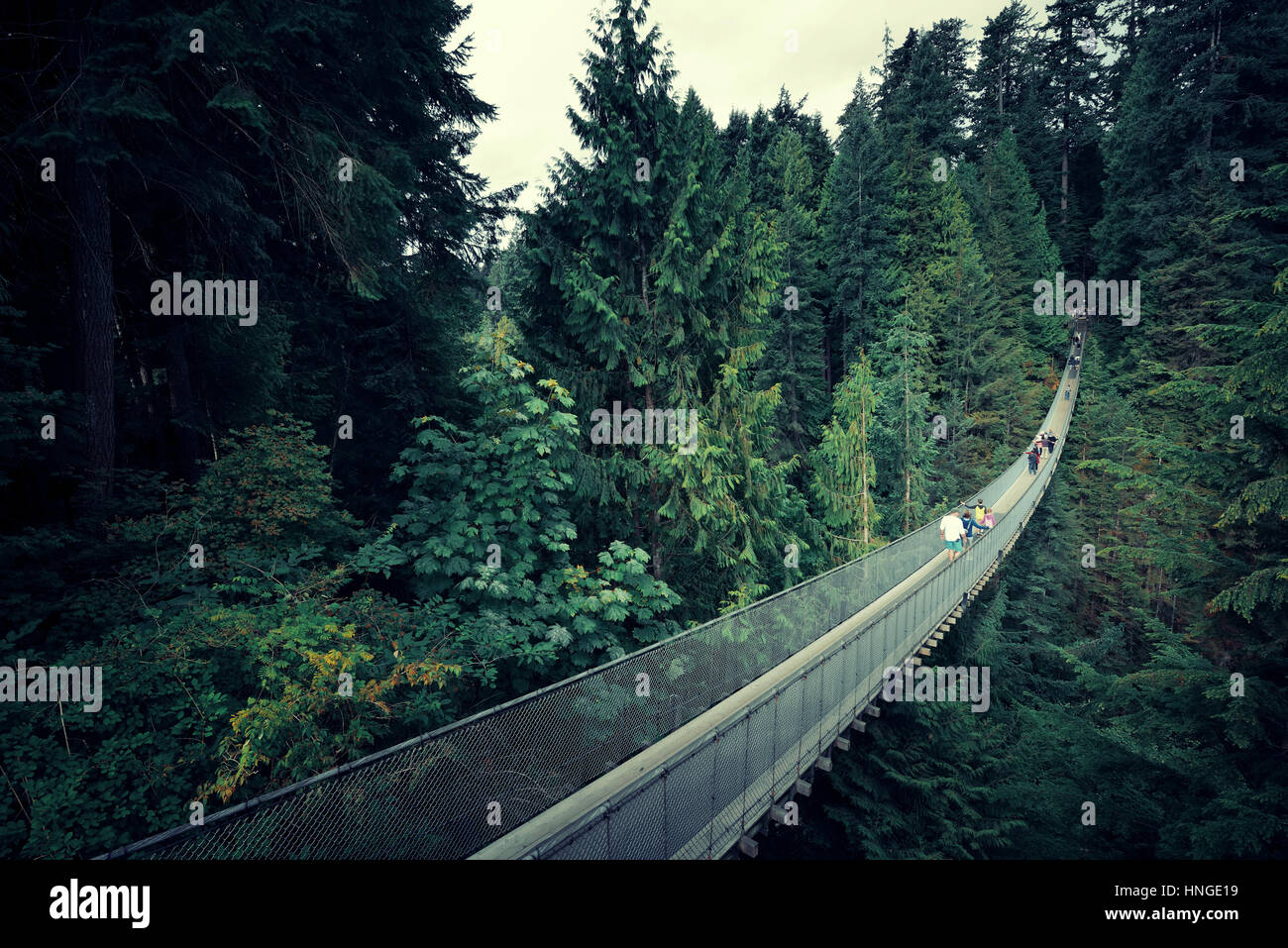 Capilano Suspension Bridge in Vancouver, Canada Stock Photo Alamy