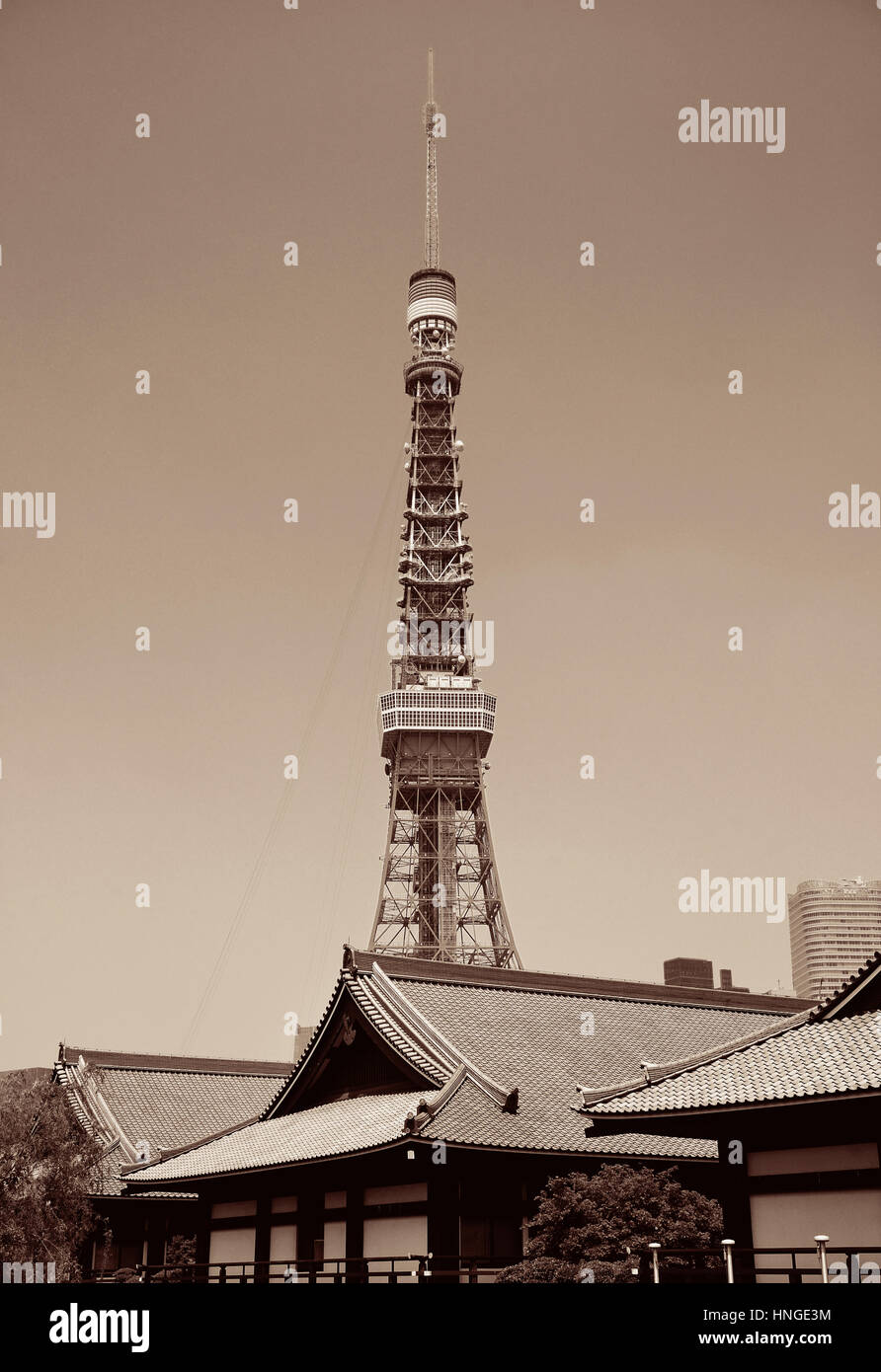 Tokyo Tower and temple as the city landmark. Japan. Stock Photo