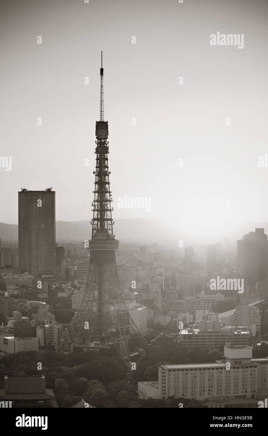 Tokyo Tower and urban skyline rooftop view at sunset, Japan. Stock Photo
