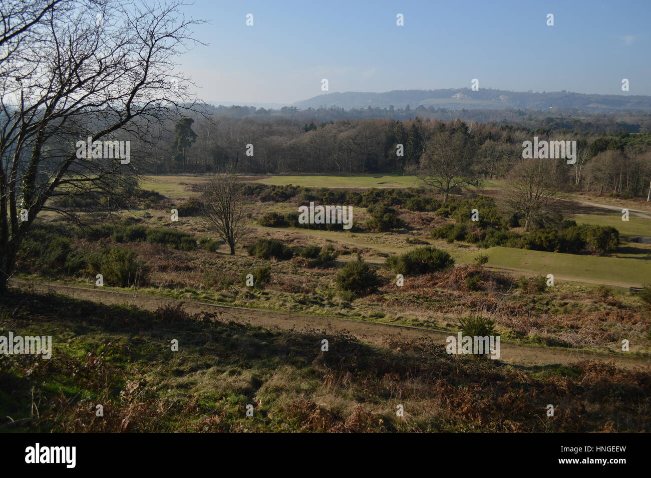 Reigate hill golf course hires stock photography and images Alamy