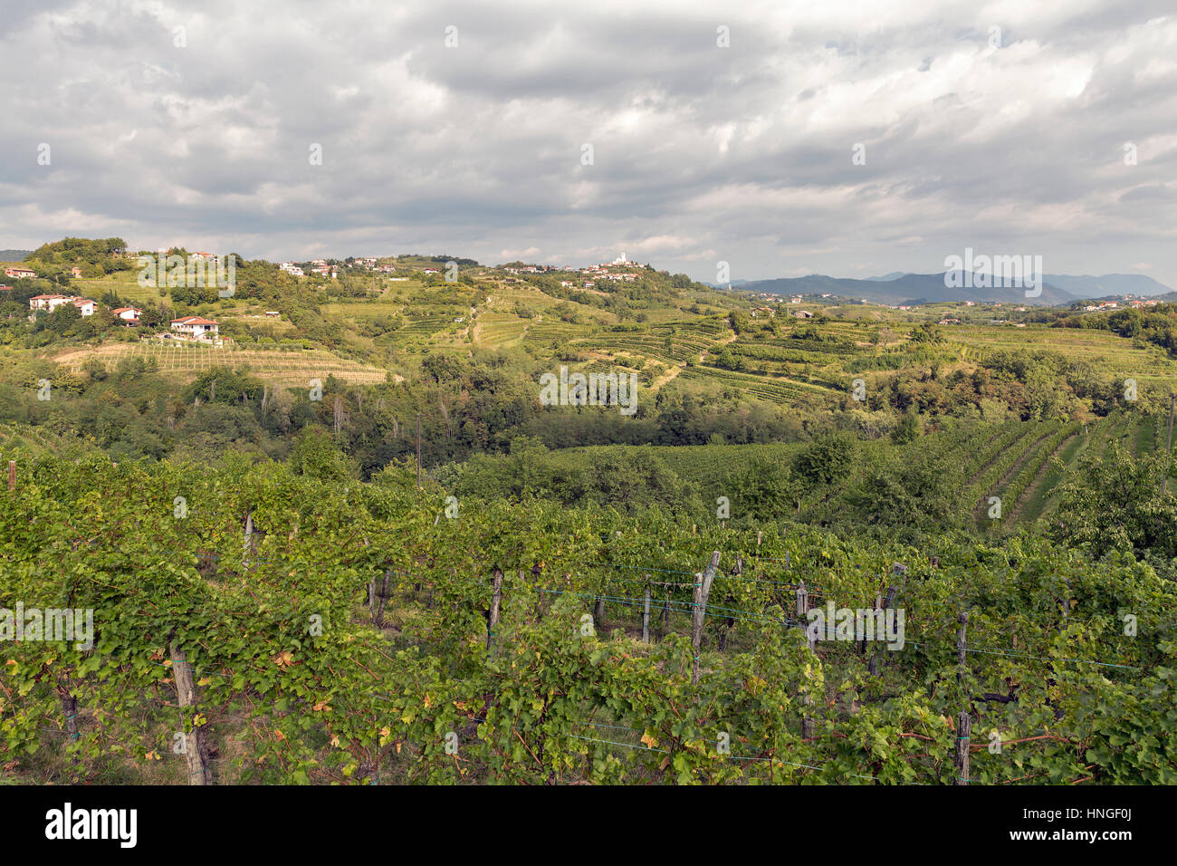 Rural mediterranean landscape with Smartno medieval village and ...