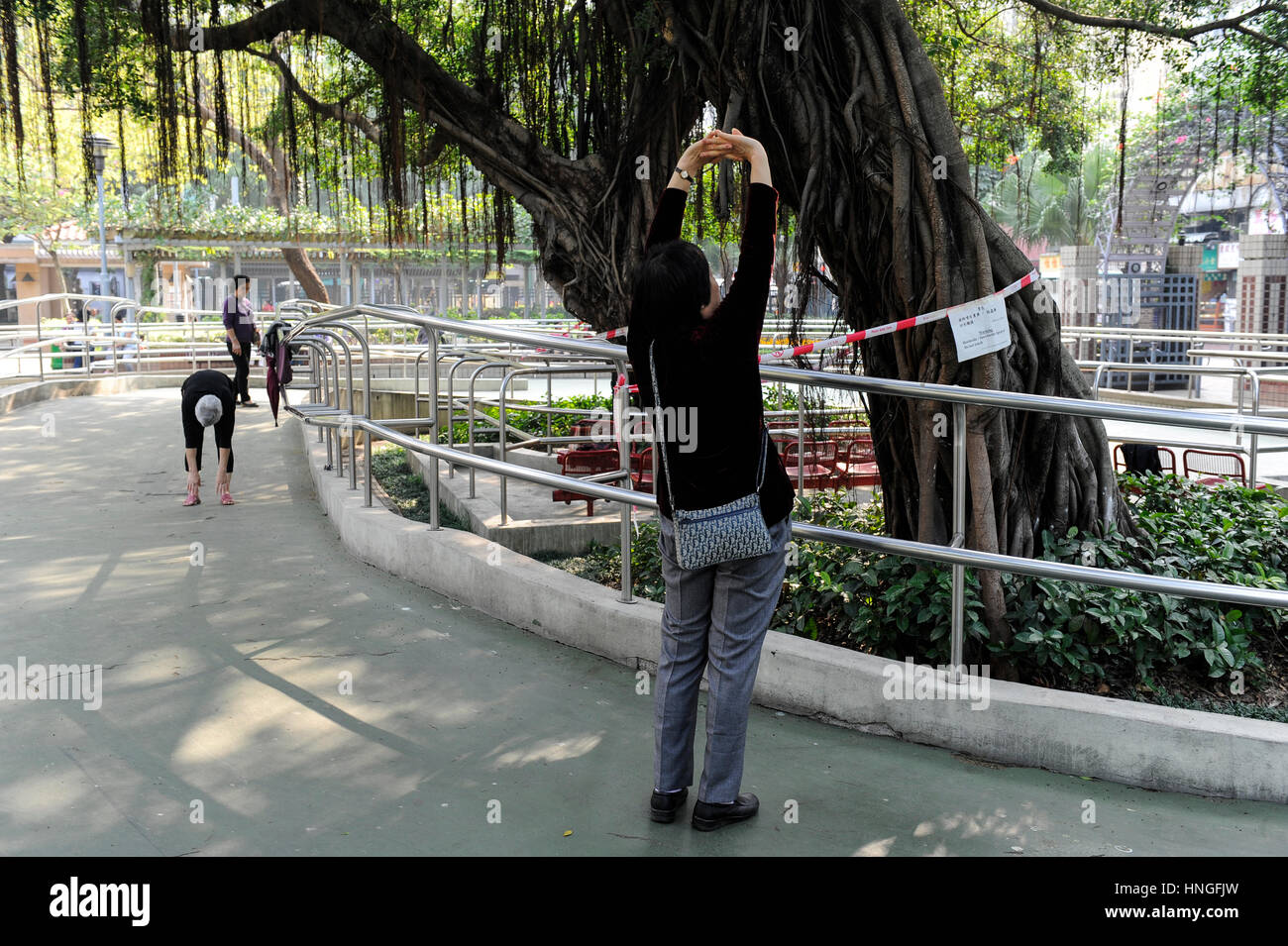 CHINA, Megacity Hong Kong, Kowloon, people doing exercise  in public park Stock Photo