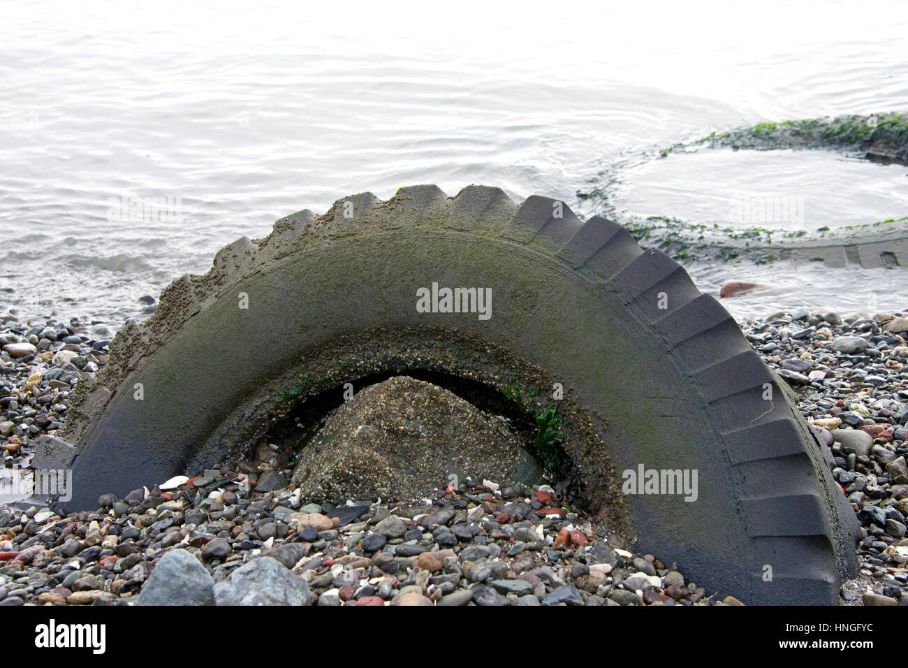 Coastal Tire And Auto >> Old Truck Auto Tire Washed Up On A Rocky Coastal Beach In Coastal Tire And Auto >> Old Truck Auto Tire Washed Up On A Rocky Coastal Beach In
