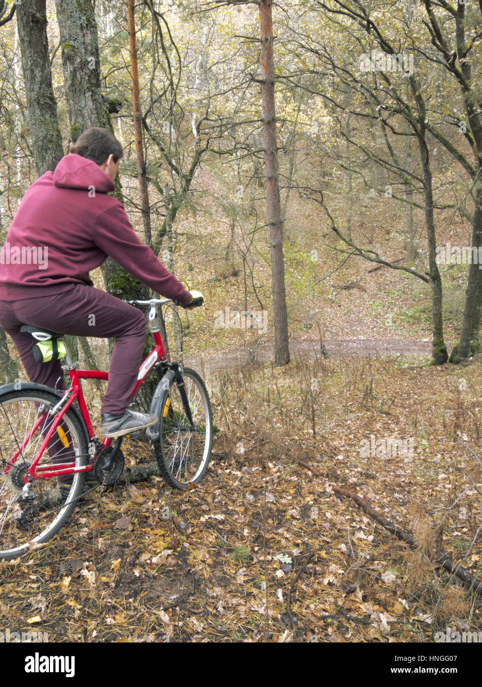 The guy on the red bicycle in the woods Stock Photo