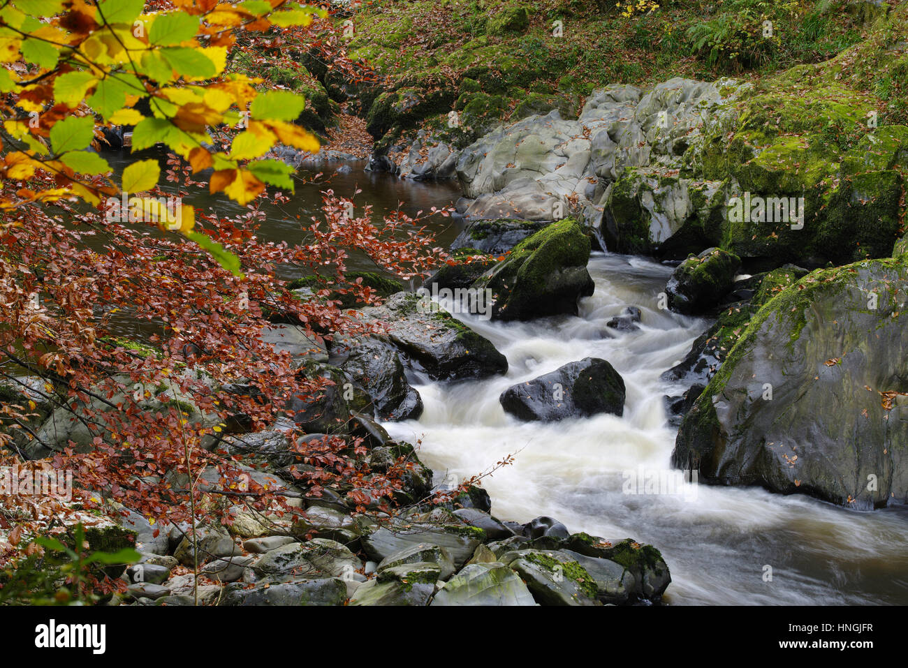 Fairy Glen, Betws y Coed, North Wales, United Kingdom, Stock Photo