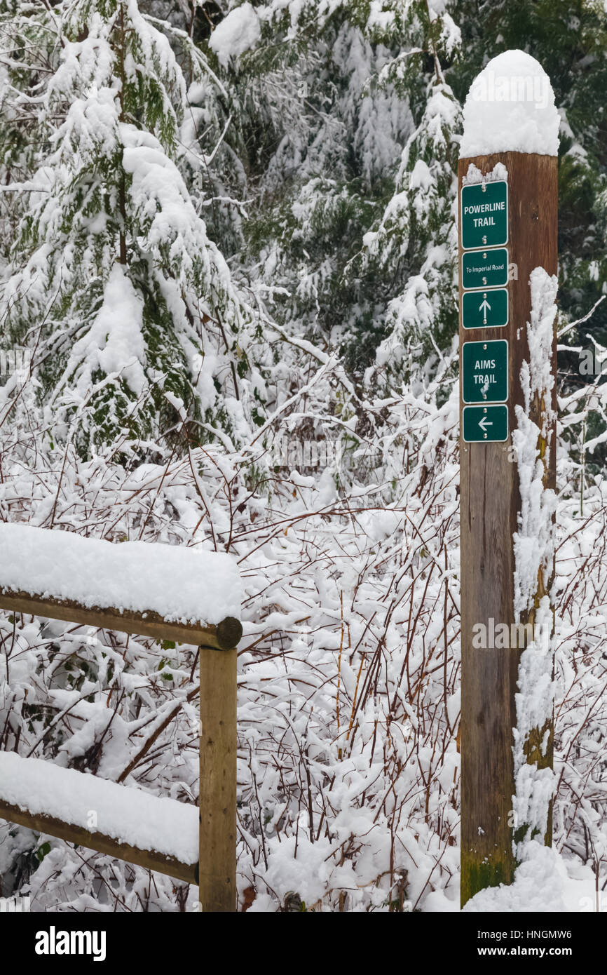 Entrance to a forest trail network in winter Stock Photo