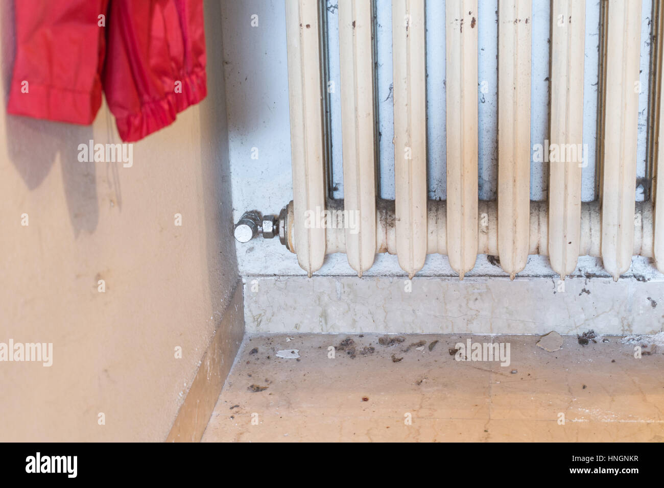 Moisture damage in wall hi-res stock photography and images - Alamy