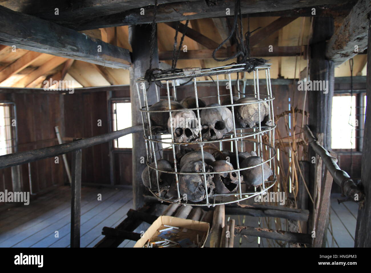 Human skulls collection in Longhouse at Sarawak, Malaysia. The Ibans used to regard human skulls obtained during headhunting raids as their most prize Stock Photo