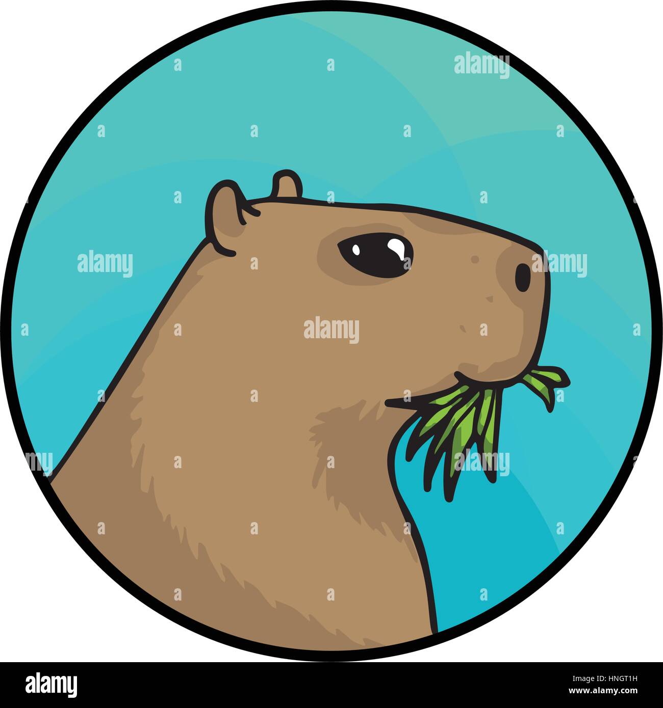 Capybara. Animal art, cute cartoon style, vector hand drawn illustration. Suitable for pet shop or zoo ads, label design or animal food package elemen Stock Vector