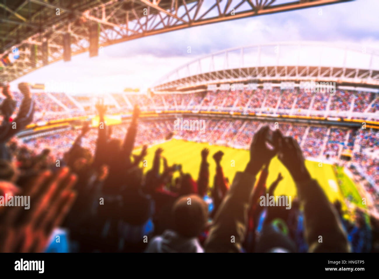 Football Fans Stadium