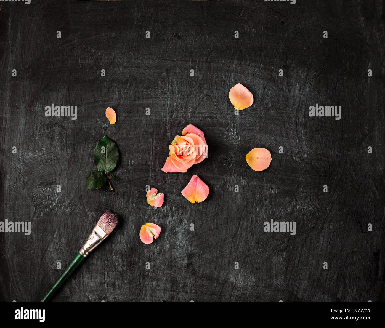 The paint brushe and rose on wooden background Stock Photo