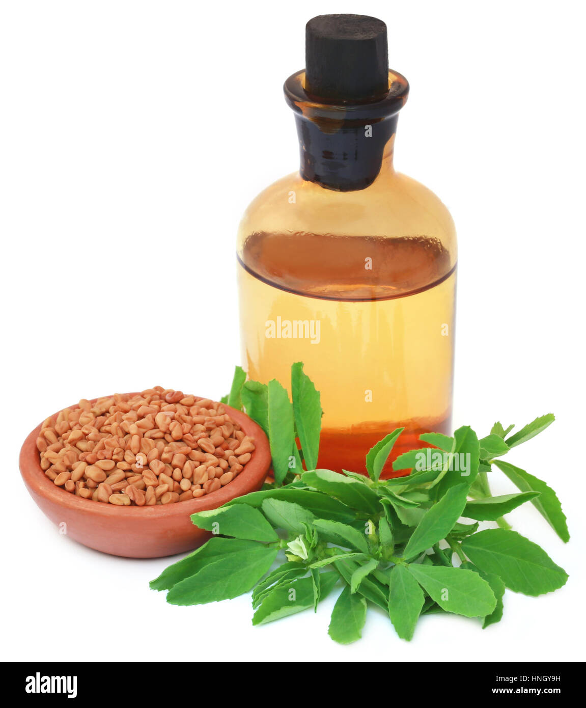 Fenugreek leaves with seeds and oil over white background Stock Photo