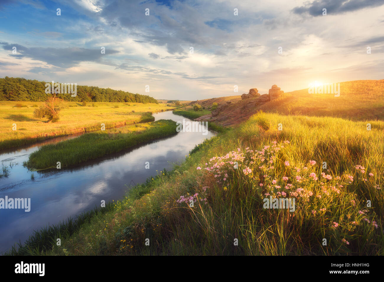 Summer landscape at sunset. Flowers, green grass at the river against rocks and blue sky with clouds. Travel and nature background. River in the beaut Stock Photo