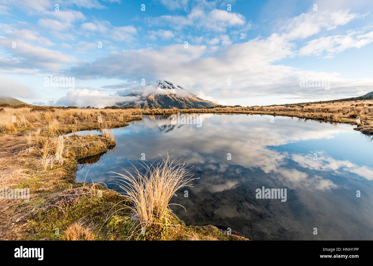 Reflection in Pouakai Tarn, stratovolcano Mount Taranaki or Mount Egmont, Egmont National Park, Taranaki, New Zealand Stock Photo