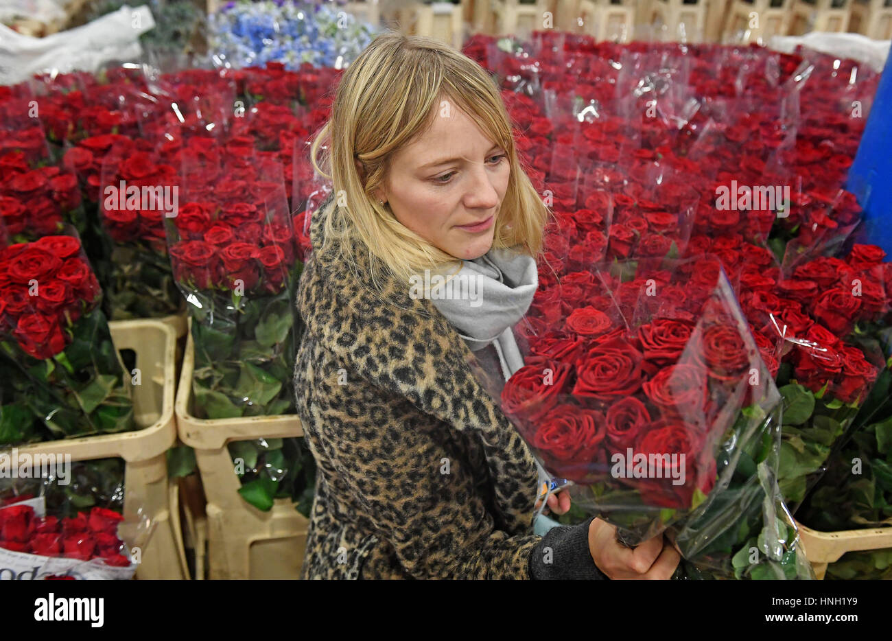 A women looks at a bunch of red roses on a flower stall at New Covent Garden Market in London, ahead of Valentine's Day. Stock Photo