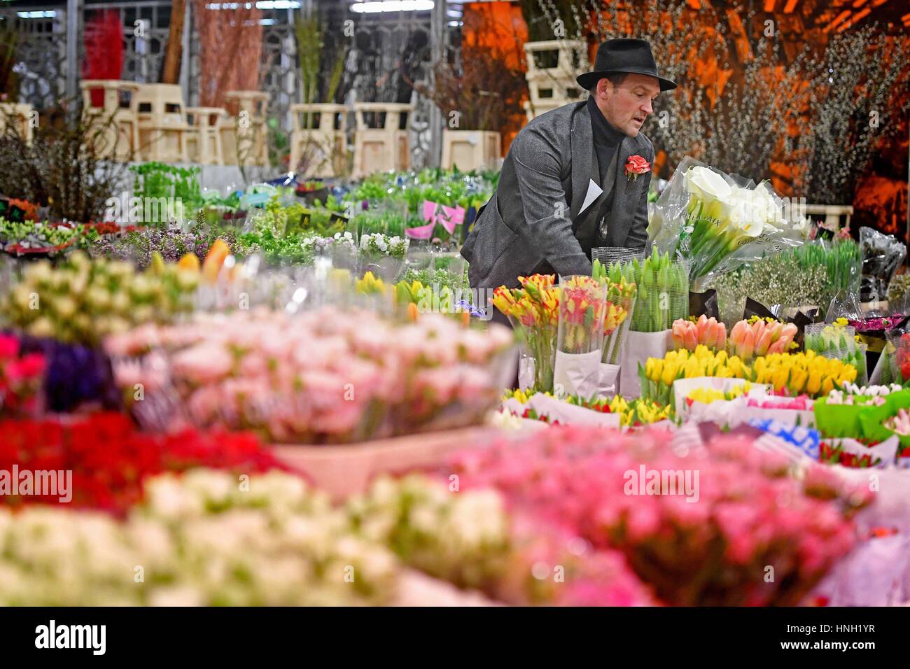 Edwin Martin of Dennis Edwards Flowers stocks up his stall at New Covent Garden Market in London, ahead of Valentine's Day. Stock Photo