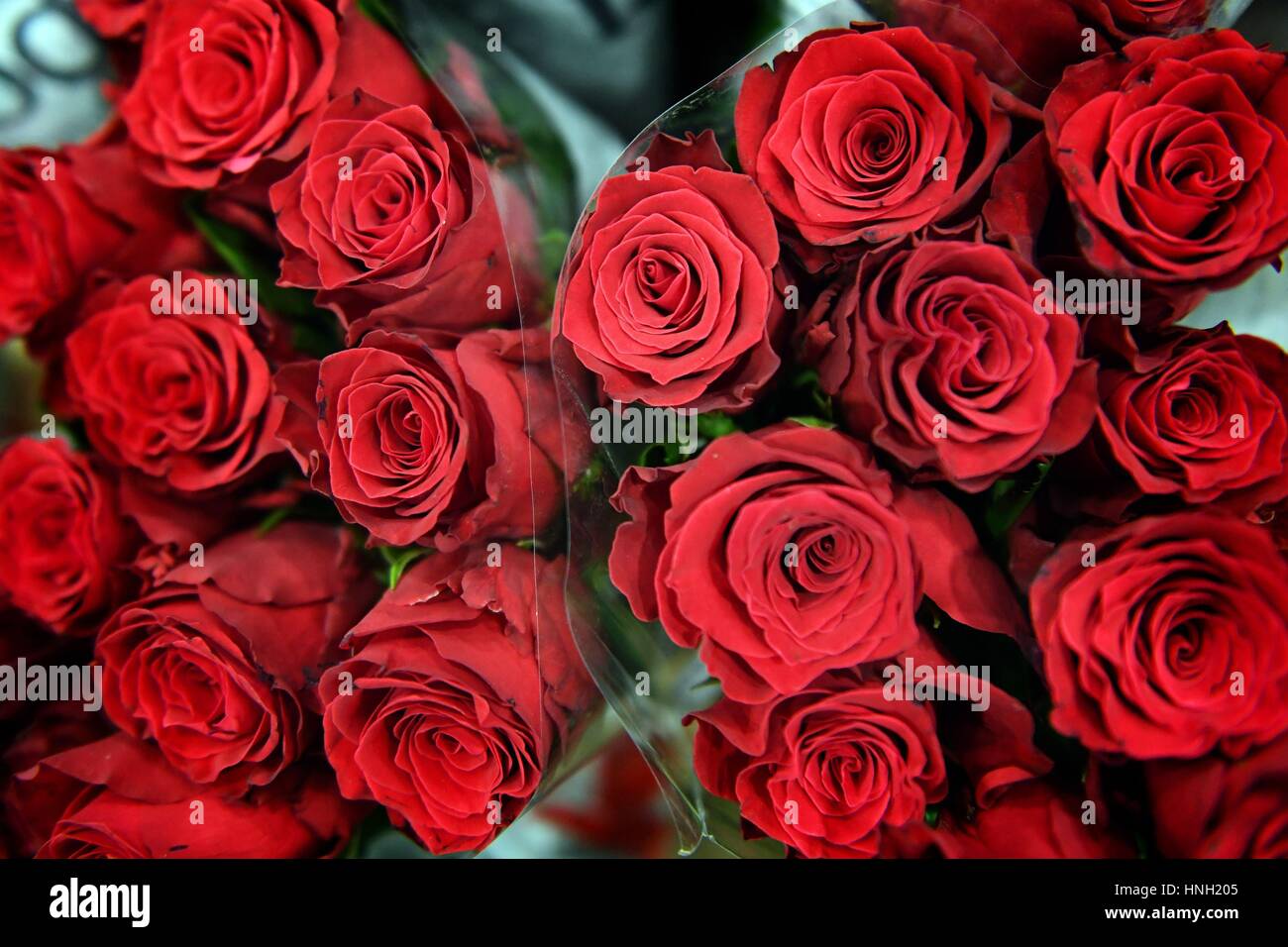 Red roses on a flower stall at New Covent Garden Market in London, ahead of Valentine's Day. Stock Photo