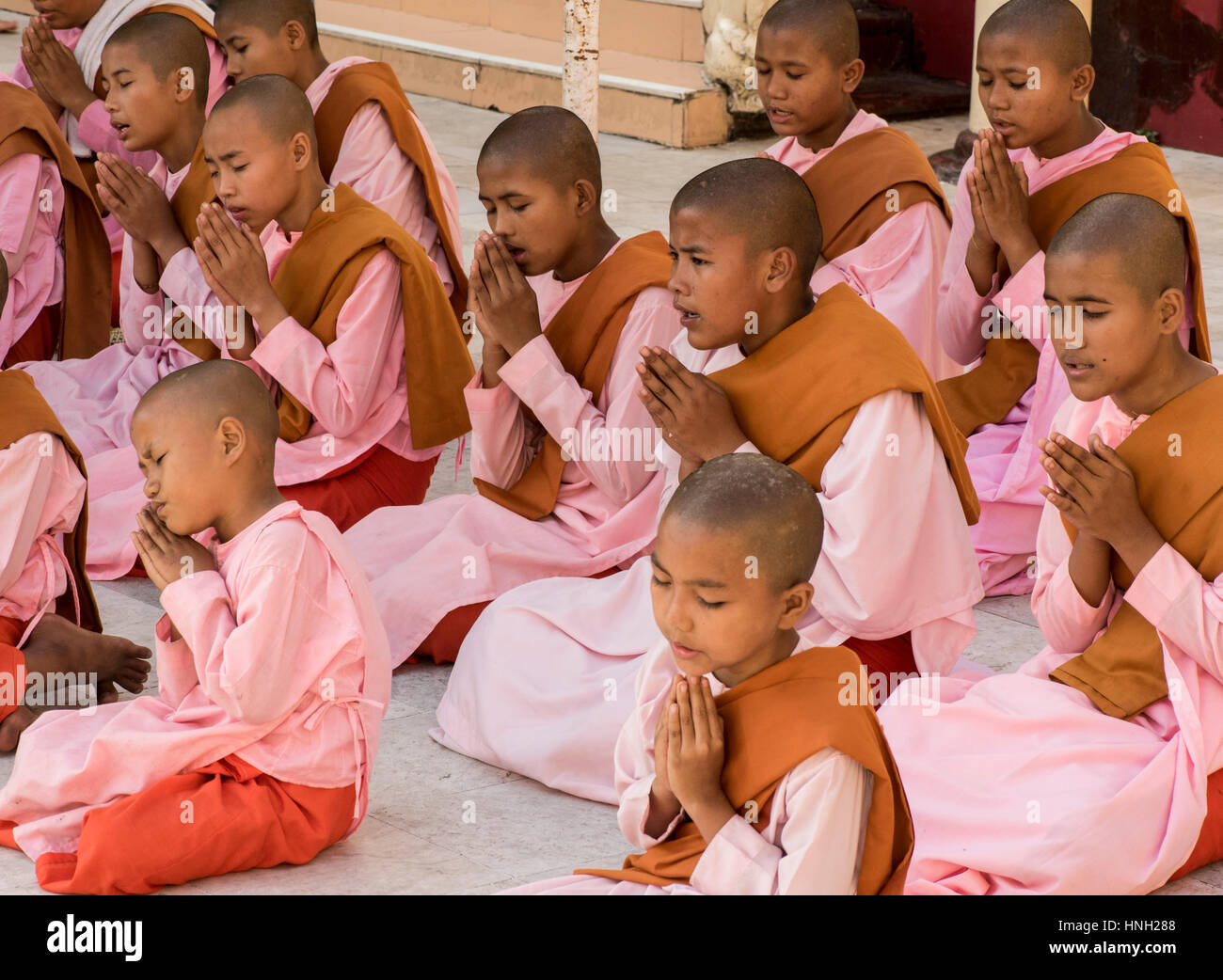 Young Buddhist nuns in distinctive pink robes and in  earnest prayer at the Shwedagon pagoda, Yangon, Myanmar Stock Photo
