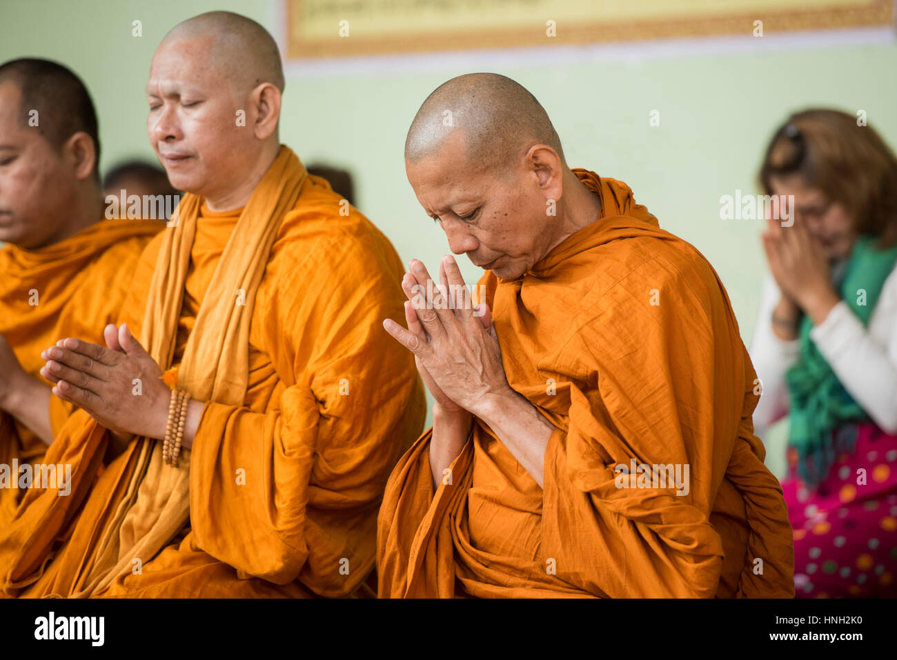 Buddhist monks in orange robes show great concentration praying in a