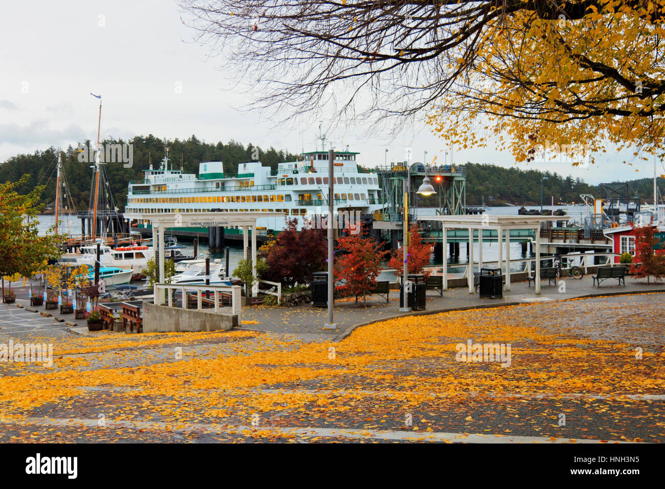 Ferry docked in Friday Harbour, San Juan Island Washington State USA Stock Photo