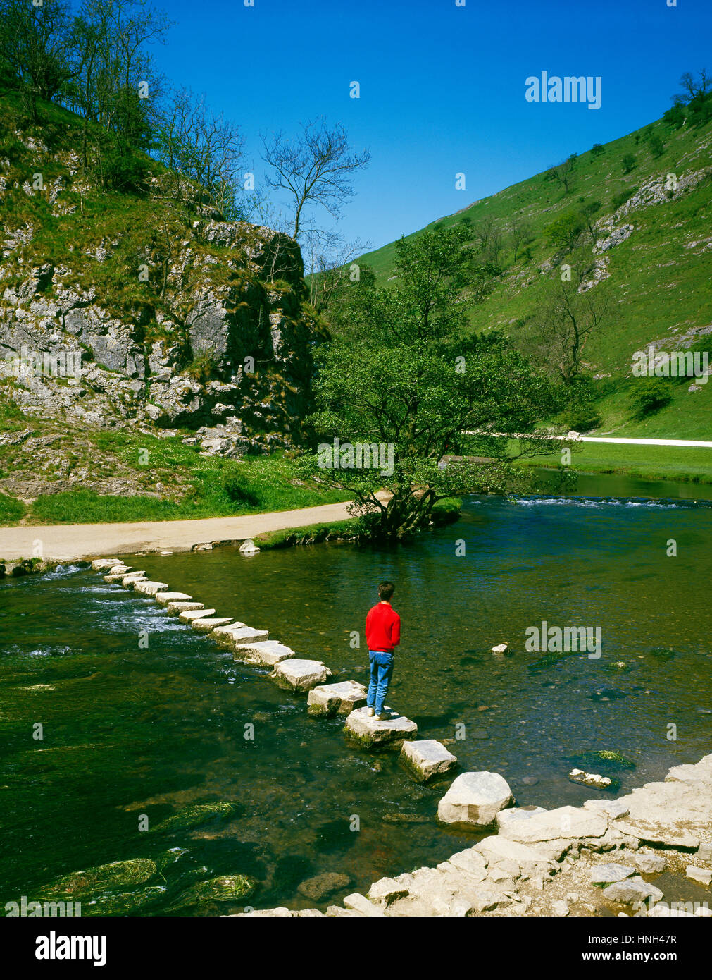 The Stepping Stones across the River Dove, Dovedale, Derbyshire, England, UK Stock Photo