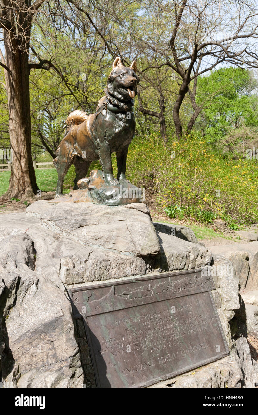 Sled Dog Statue, Balto, in Central Park NYC Stock Photo Alamy