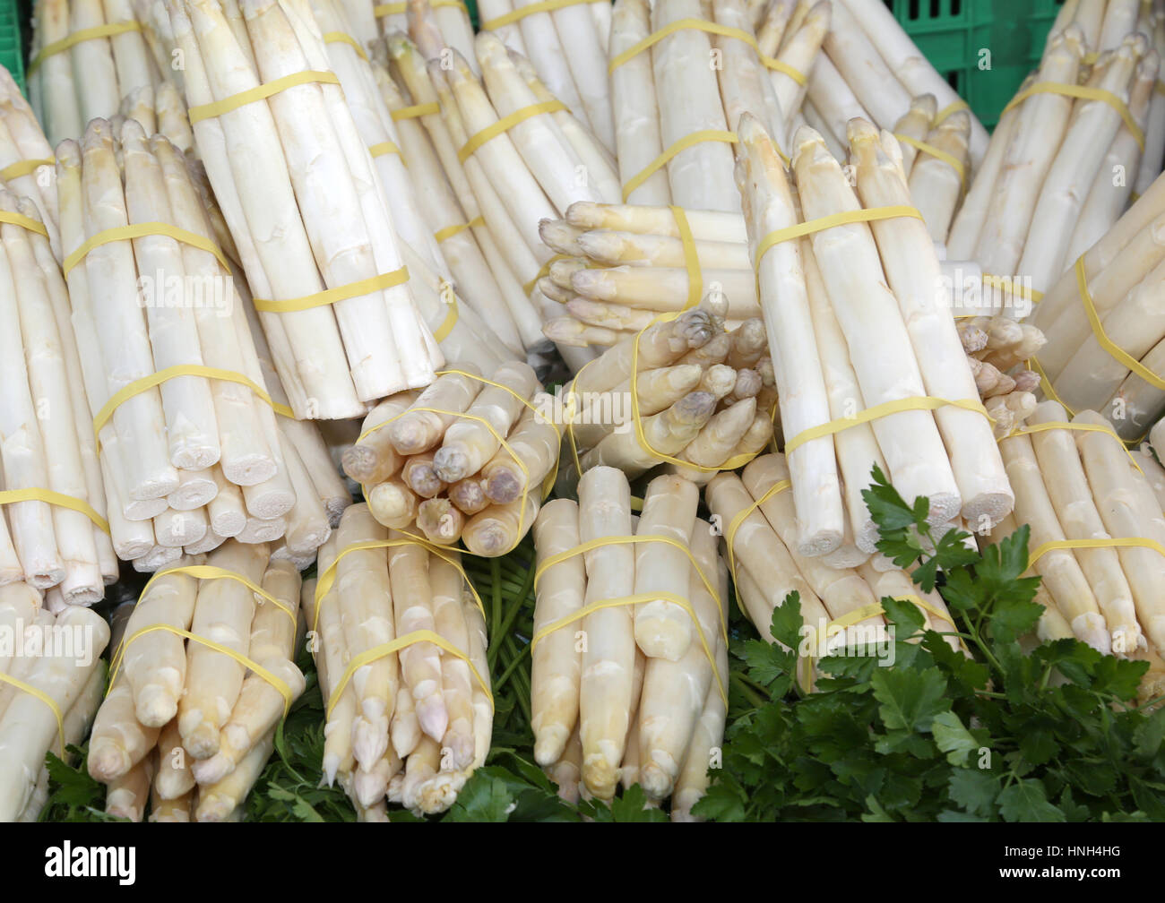 Jumbo White Asparagus