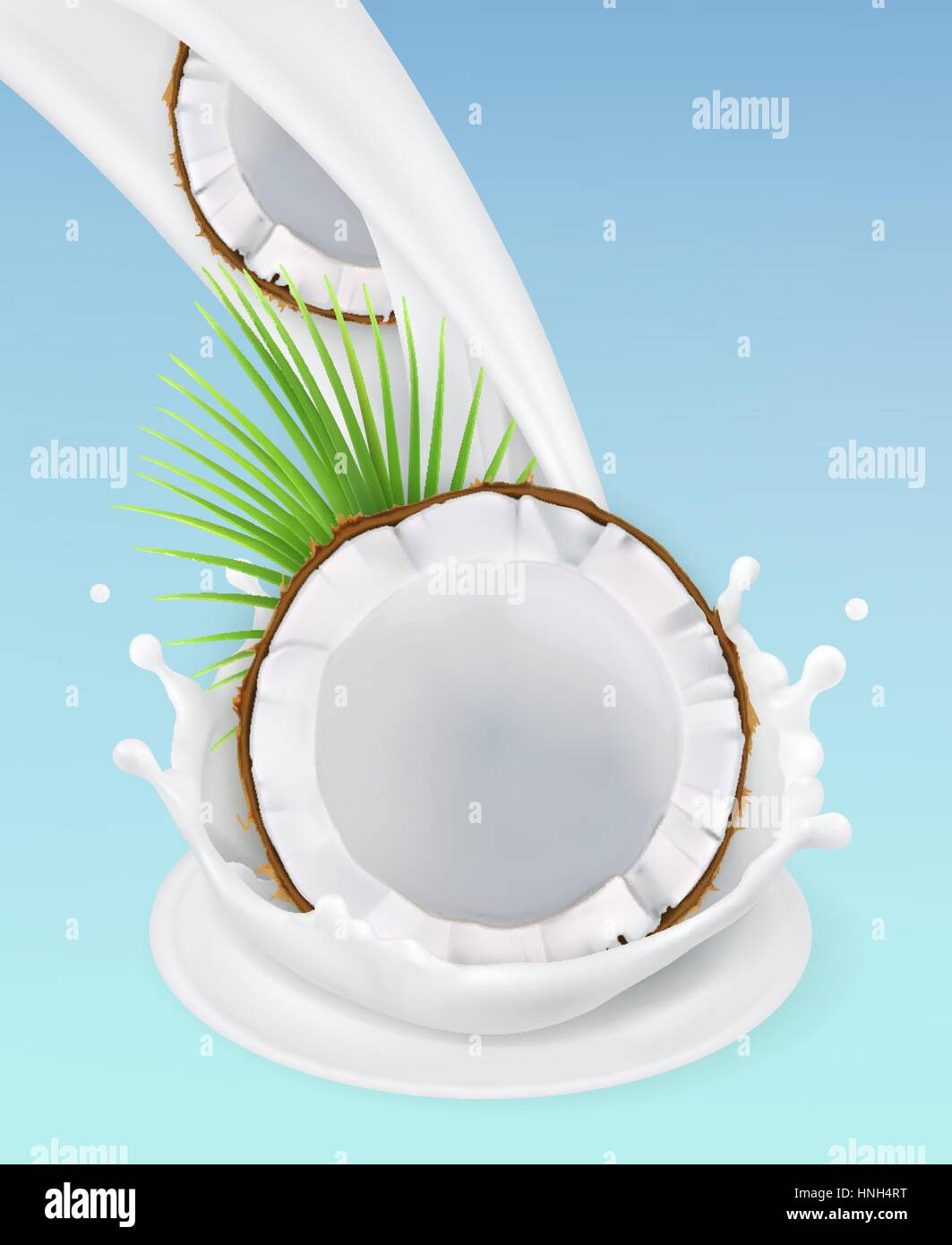 Milk splash and coconut. 3d vector object. Natural dairy products Stock ...