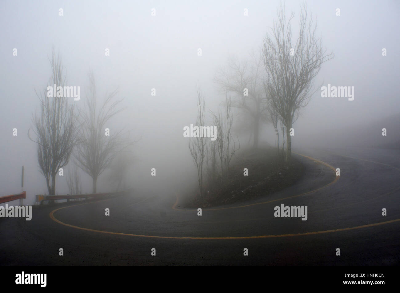 Fog cloudy scary trees hi-res stock photography and images - Alamy