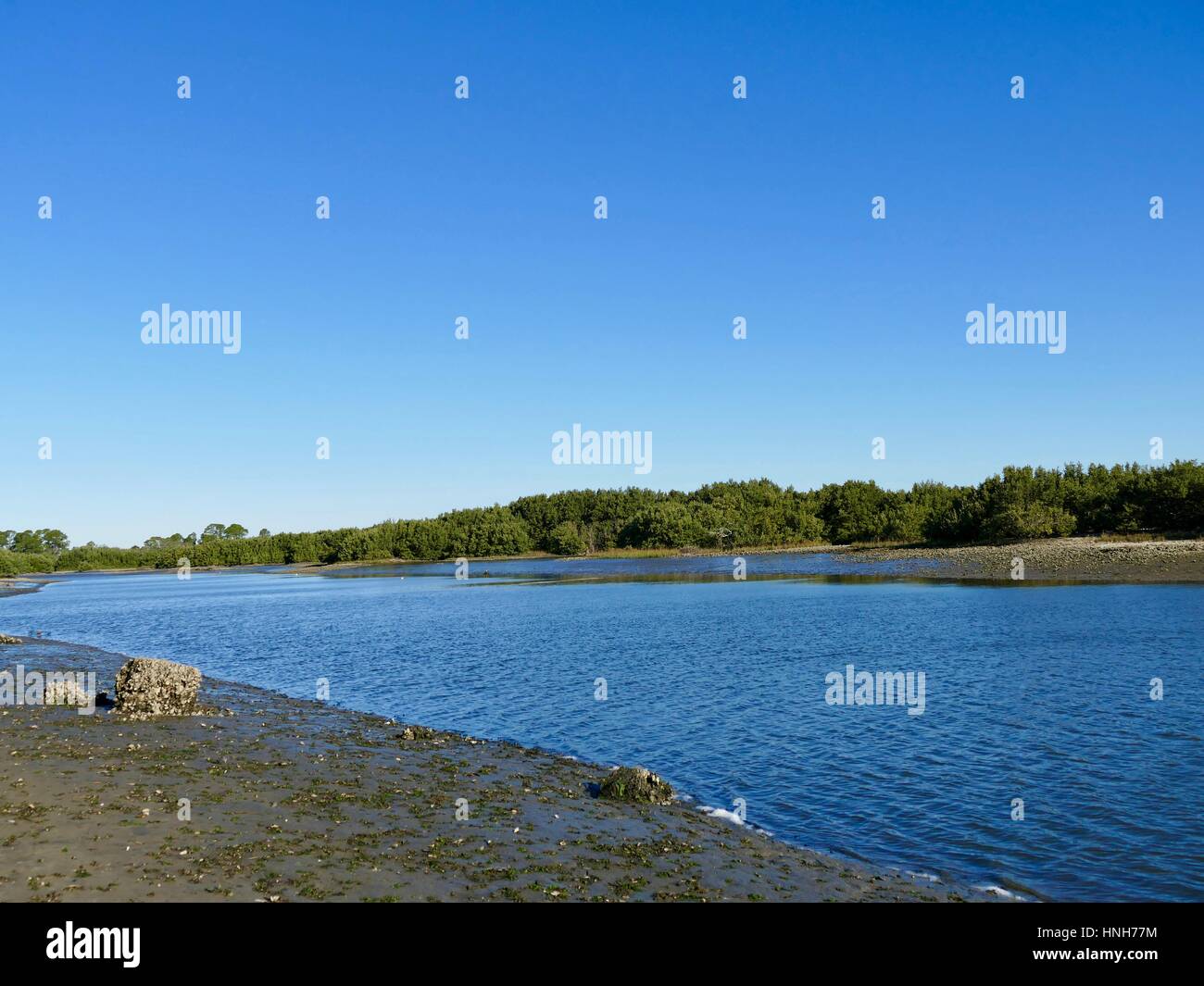 Water low tide key west hires stock photography and images Alamy
