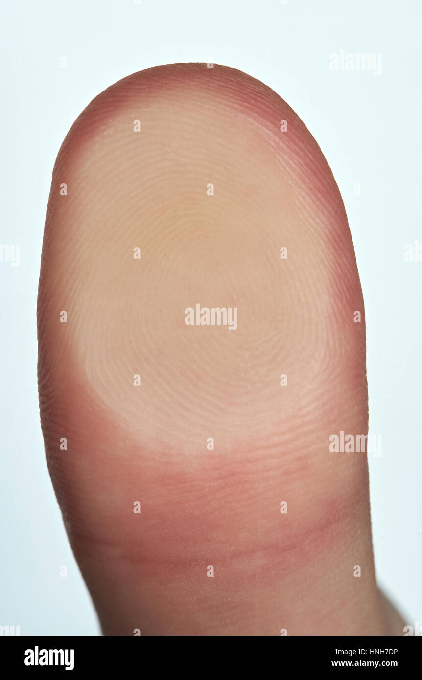touching finger to veryfication identity clsoe up. Scanning thumb fingerprint Stock Photo