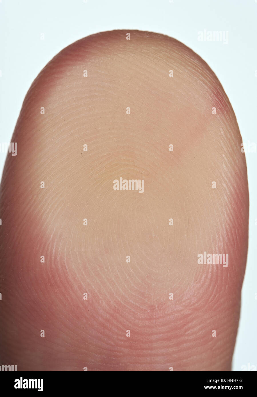 Macro of thumb lines finger. Scanning identity digitally Stock Photo