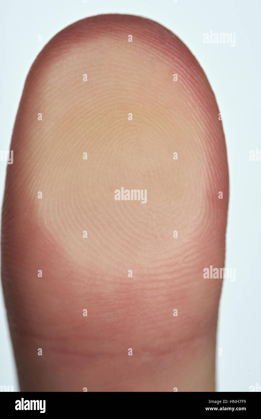clsoe up of lines on finger print isolated on white Stock Photo