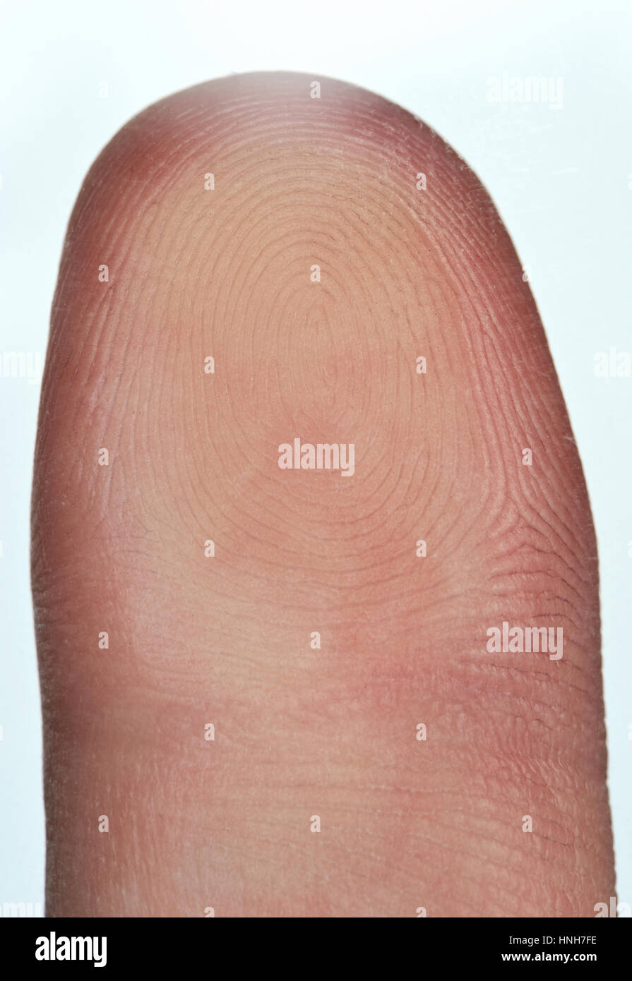 Surface of finger print macro isolated on white background Stock Photo