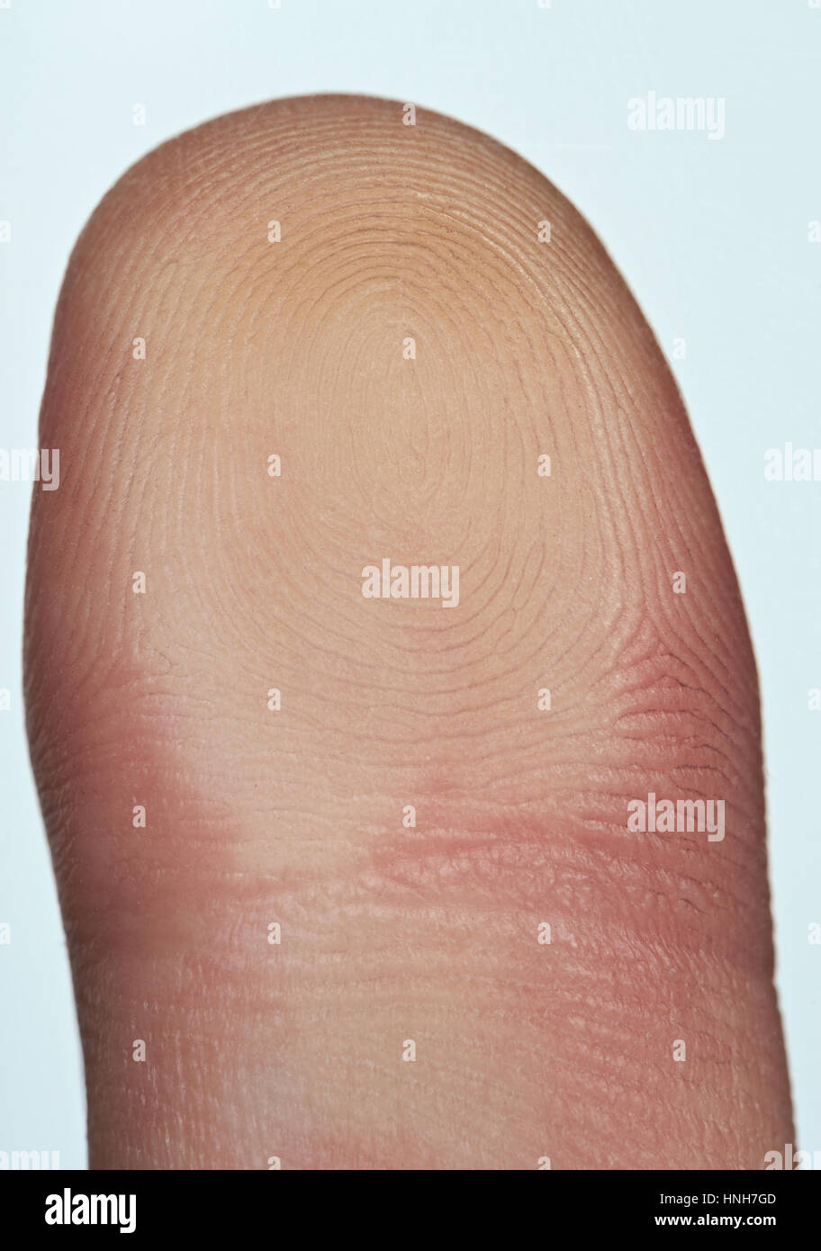 macro of scanning finger isolated on white background Stock Photo Alamy
