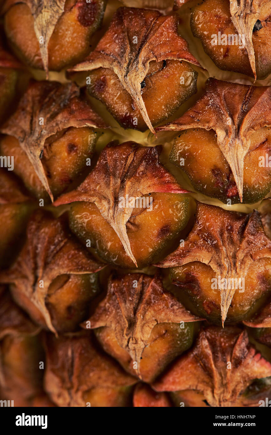 vertical texture pineapple brown skin close up. Macro of yellow pine ...