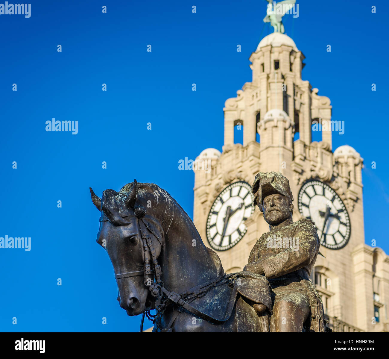 Statue Of King Edward VII In Liverpool with the liver building behind. Stock Photo