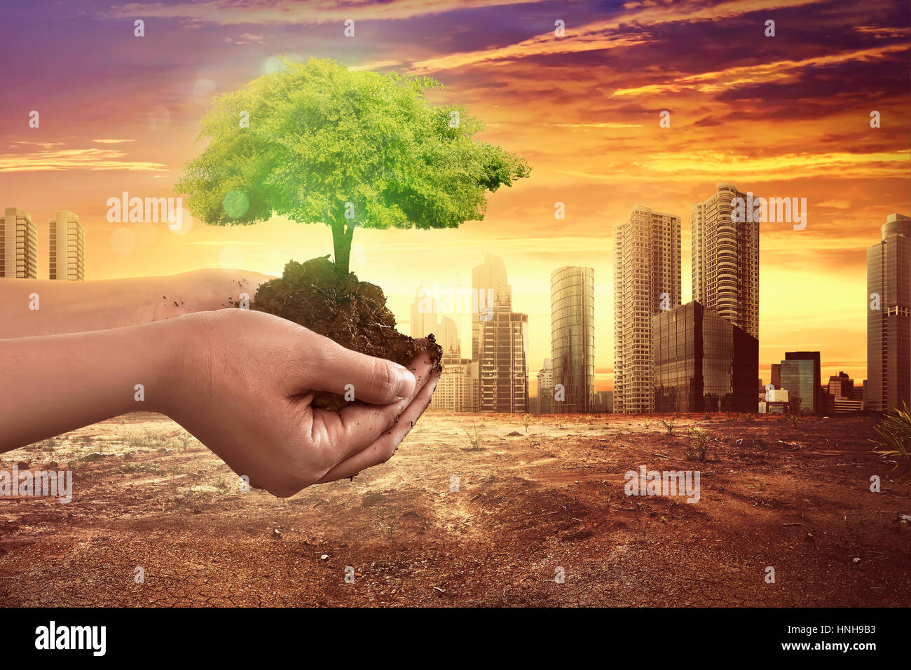 hand holding tree plant on soil with climate change background stock change background of pic