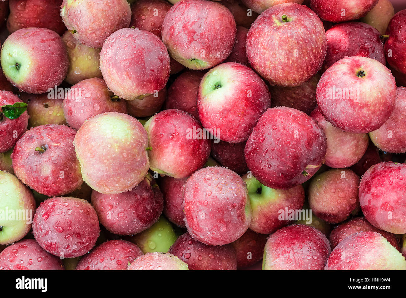 Red apples background Stock Photo Alamy