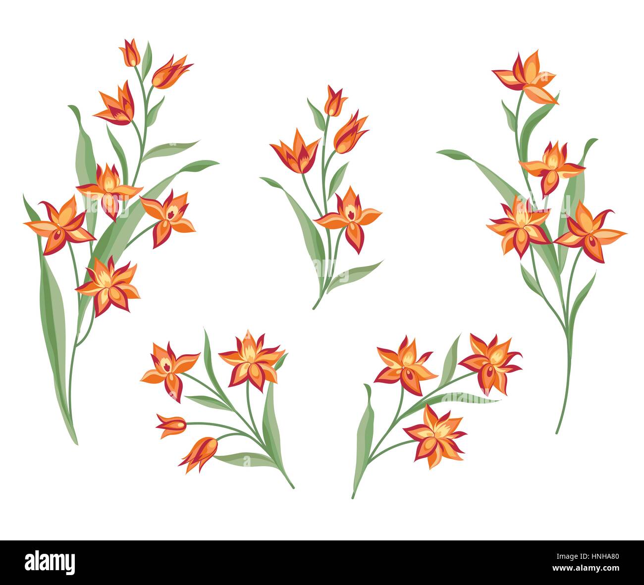 Floral Bouquet Set Wild Flower Botanical Background - 