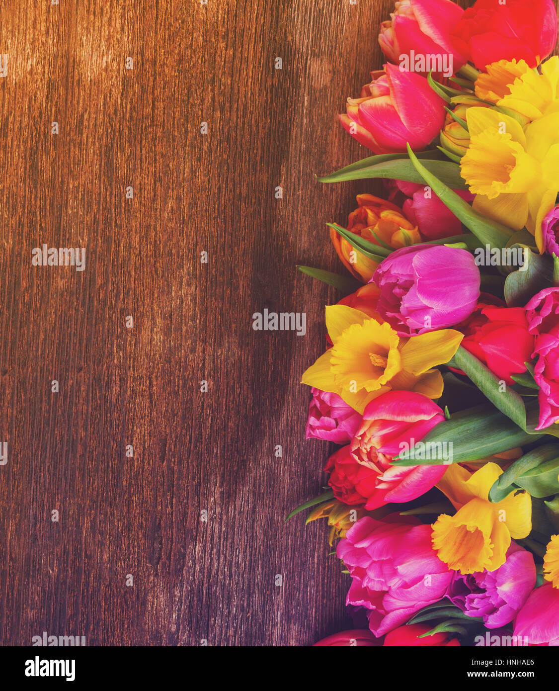 bouquet of tulips and daffodils Stock Photo Alamy