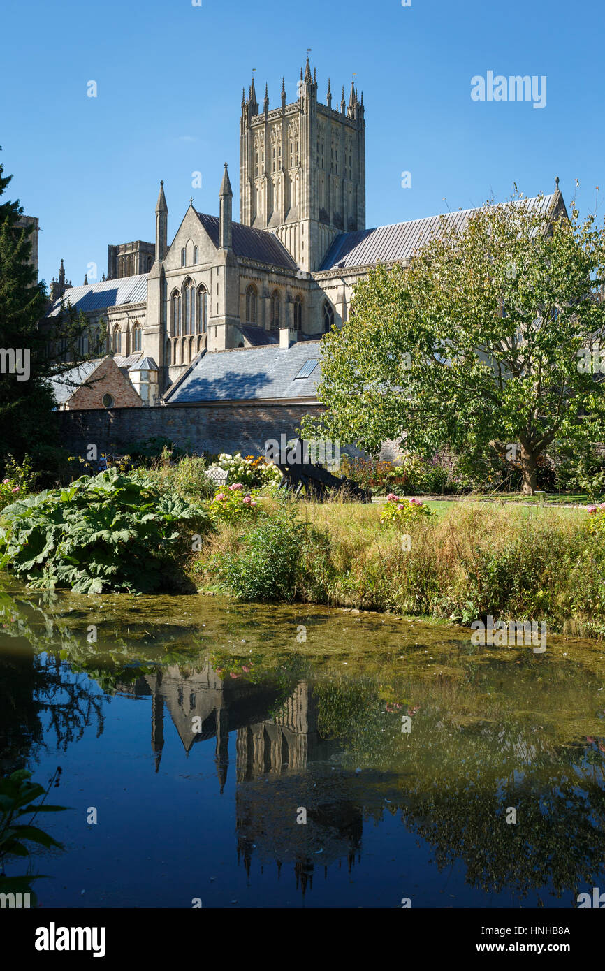 Wells Cathedral Church from the Bishop's Palace Gardens Unreleased Travel Stock Photo