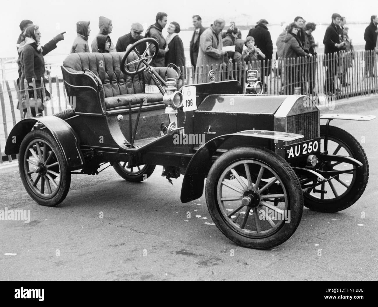 Celer hi-res stock photography and images - Alamy