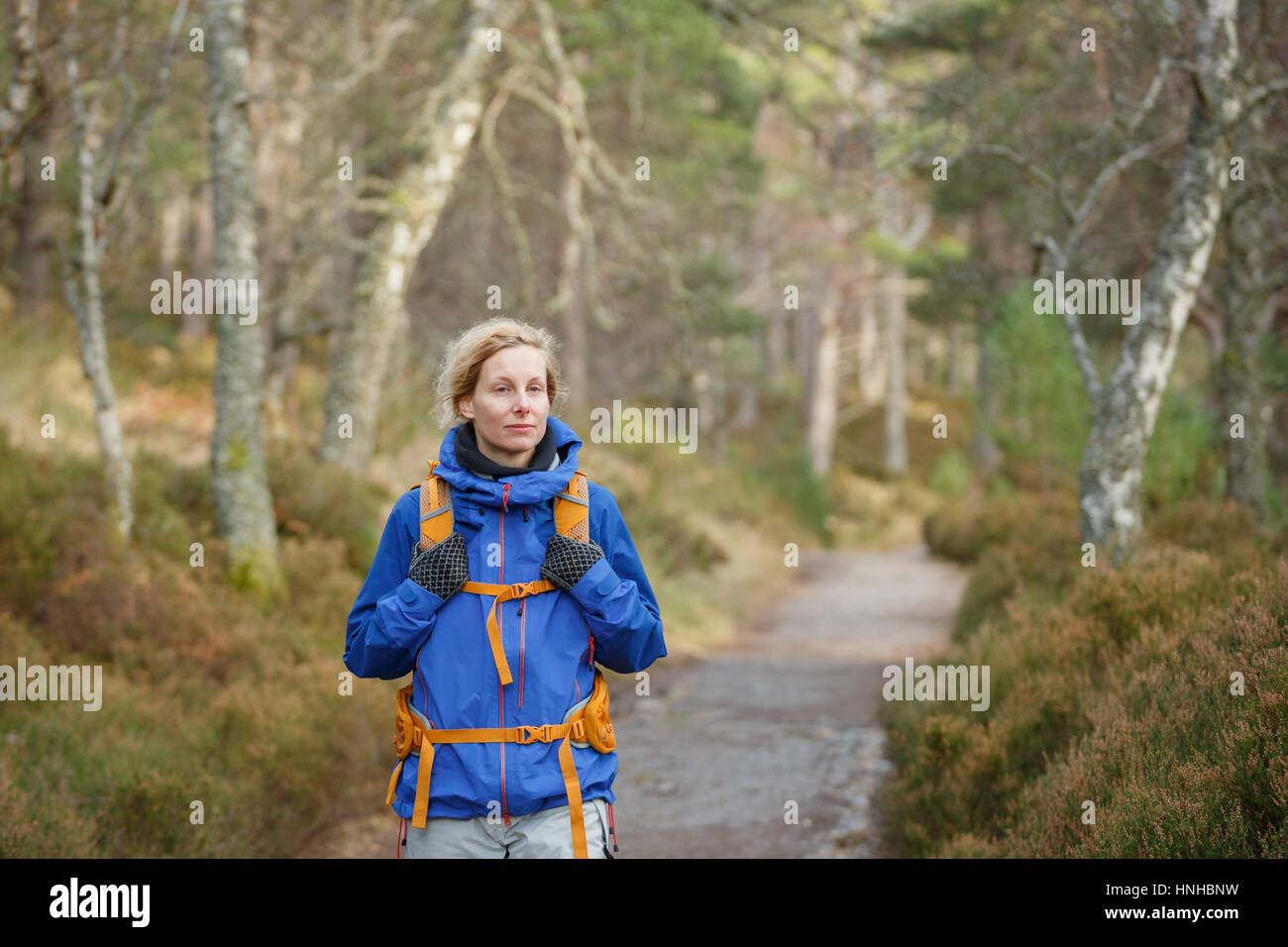 Woman hiking through a wood Stock Photo