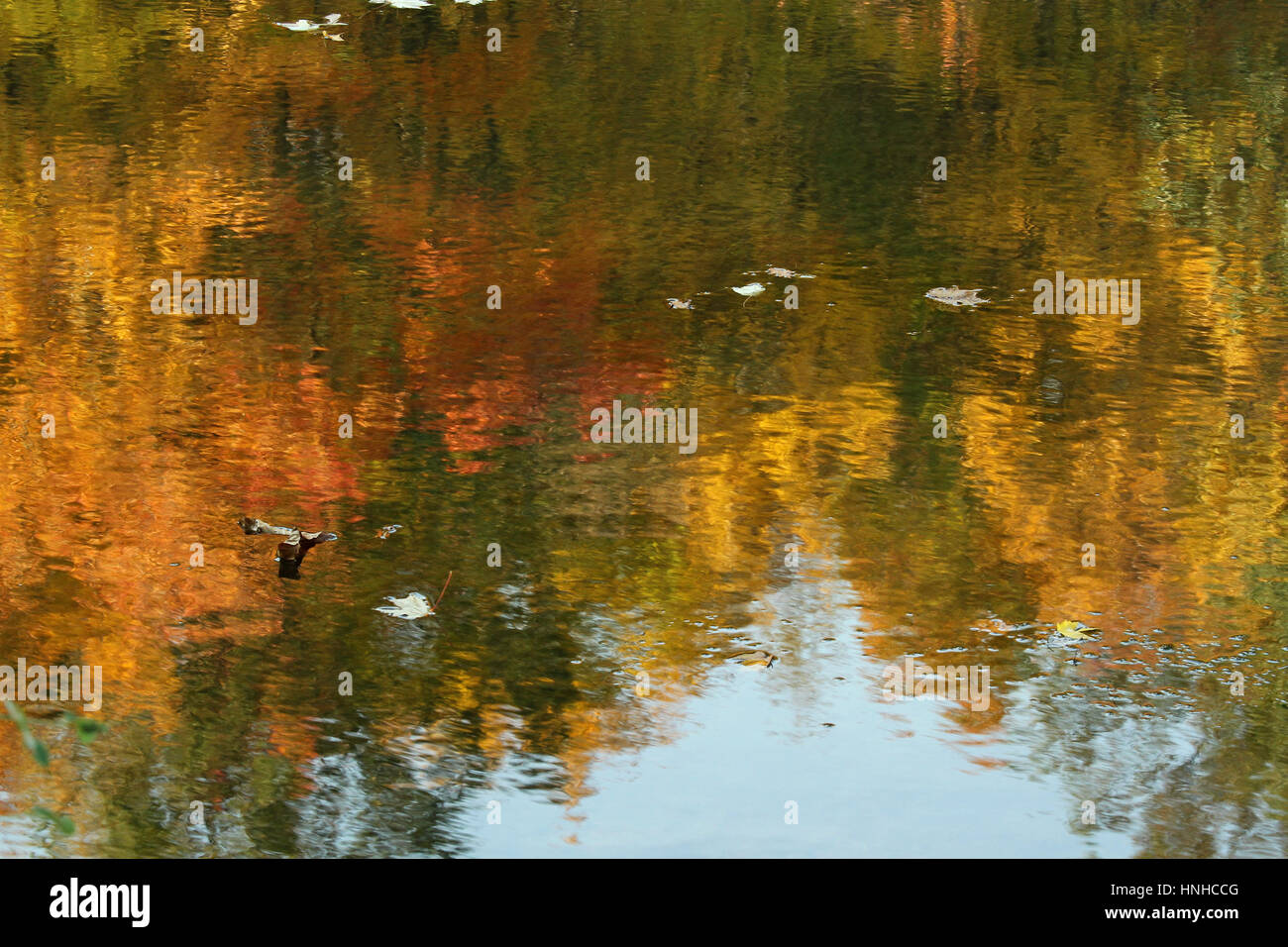 Autumn at Moraine State Park Stock Photo