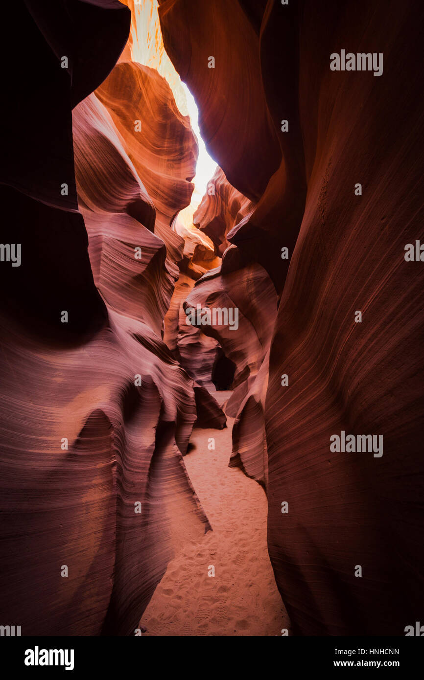 Beautiful vertical view of amazing sandstone formations in famous Antelope Canyon on a sunny day in summer, Page, Arizona, American Southwest, USA Stock Photo