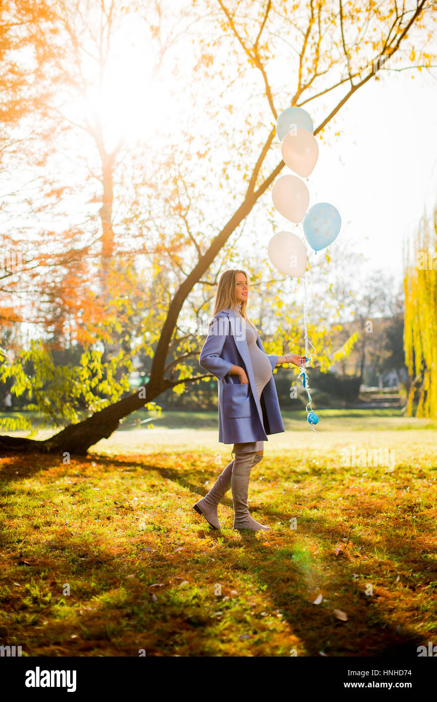 Young pregnant woman walks in autumn park with balloons in hand Stock ...